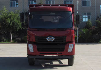 LFJ3160G8自卸汽车燃油公告图片1