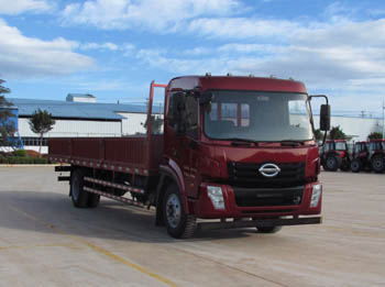 LFJ1120G2载货汽车燃油公告图片2