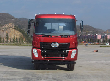 LFJ1200G1载货汽车燃油公告图片1