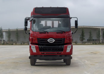 LFJ1200G1载货汽车燃油公告图片1