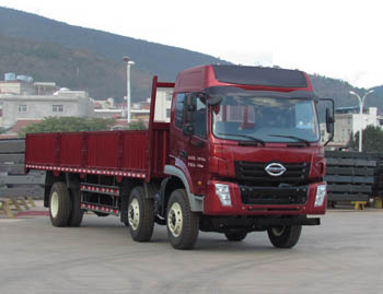 LFJ1200G1载货汽车燃油公告图片2