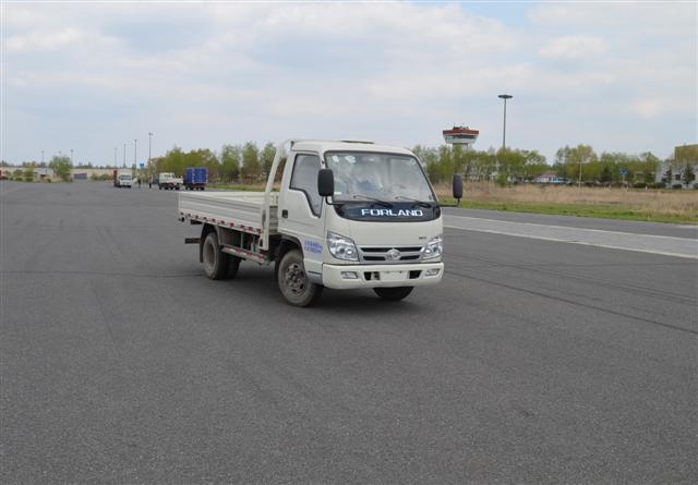BJ1043V9JEA-A载货汽车燃油公告图片2