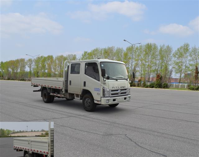 BJ1043V9AEA-A1载货汽车燃油公告图片2