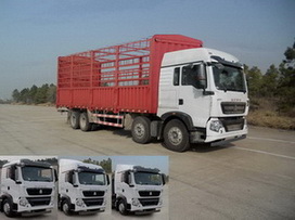 ZZ5317CCYN466GD1仓栅式运输车燃油公告图片2