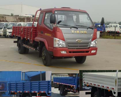 ZB1070LPD6F载货汽车燃油公告图片2