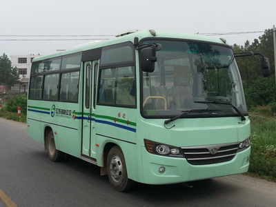 ZGT6668DG1客车燃油公告图片2