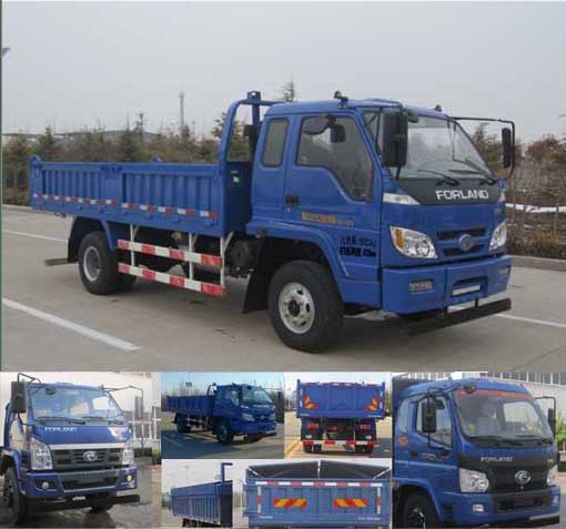BJ3165DJPED-1自卸汽车燃油公告图片2