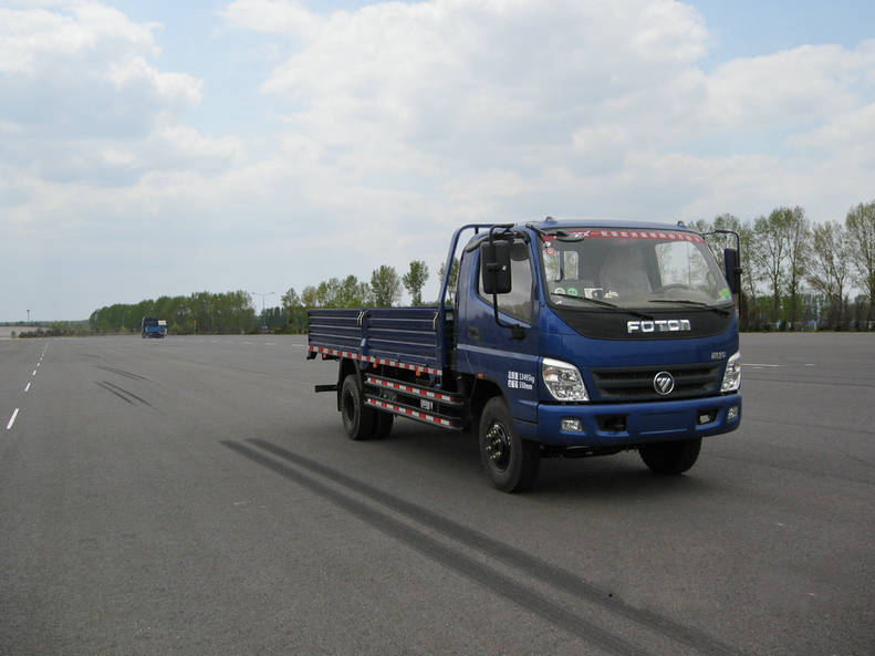 BJ1139VKJEA-BA载货汽车燃油公告图片2