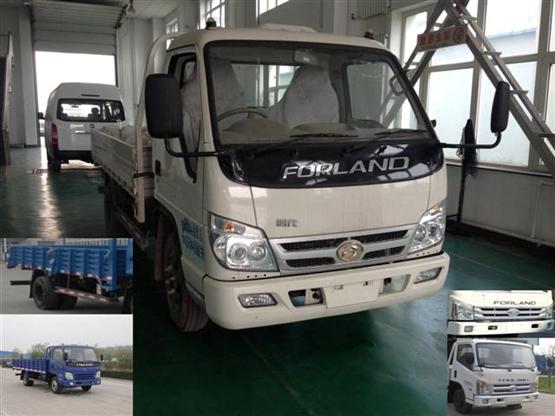 BJ1043V9JEA-SW载货汽车燃油公告图片2