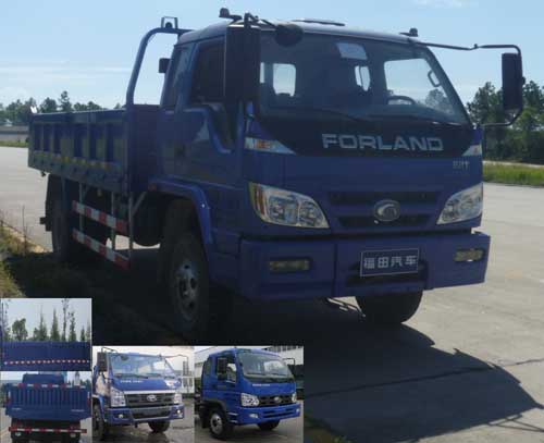 BJ3105DGPEA-1自卸汽车燃油公告图片2