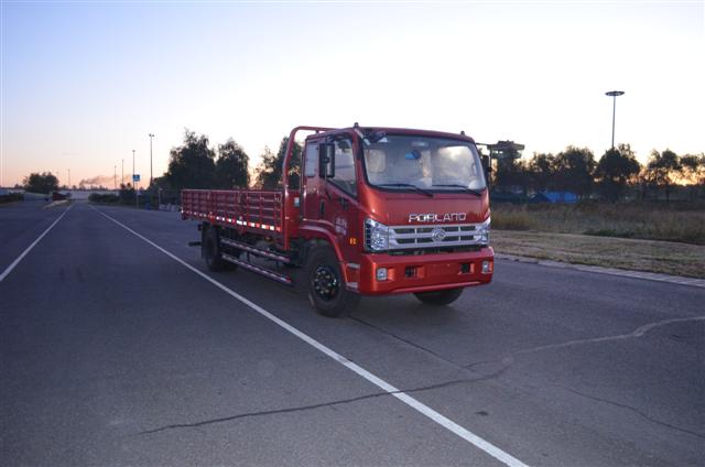 BJ1133VKPEK-V7载货汽车燃油公告图片2