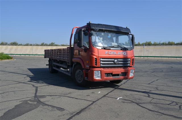 BJ1163VKPFK-B4载货汽车燃油公告图片2