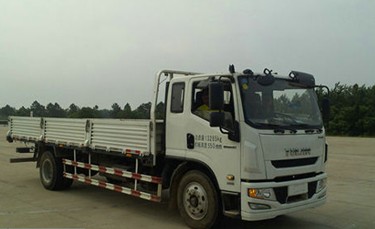 NJ1130ZNDDWZ载货汽车燃油公告图片2