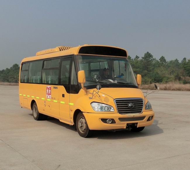 ZK6726DXA9小学生校车燃油公告图片2