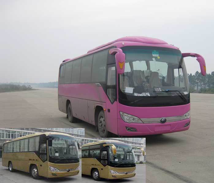 ZK6866H1Z客车燃油公告图片2