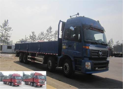 BJ1313VNPJJ-XB载货汽车燃油公告图片2