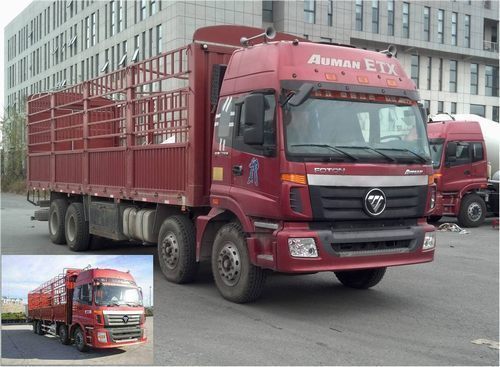 BJ5247VLCJJ-S1仓栅式运输车燃油公告图片2