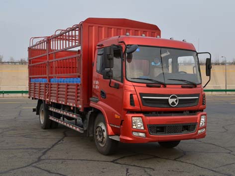 KMC5169CCYB53P4仓栅式运输车燃油公告图片2