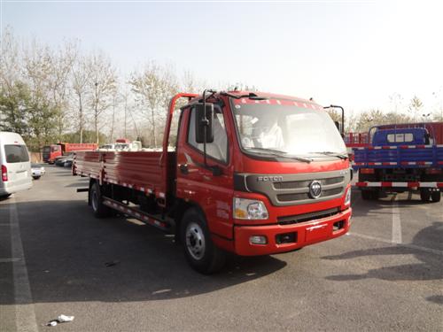 BJ1109VEJED-FA载货汽车燃油公告图片2