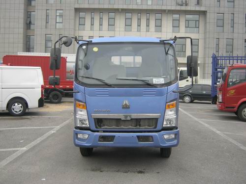 ZZ1047D3415D145载货汽车燃油公告图片1