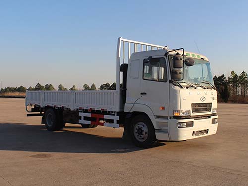 HN1160C16C8M4载货汽车燃油公告图片2