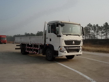 ZZ1167H501GD1载货汽车燃油公告图片2