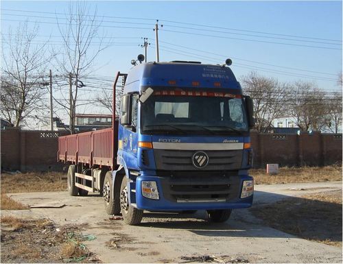 BJ1253VMPHP-XA载货汽车燃油公告图片2