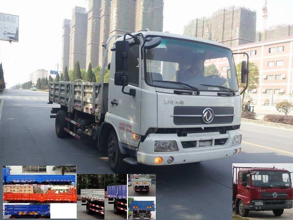 DFL1120B18载货汽车燃油公告图片2