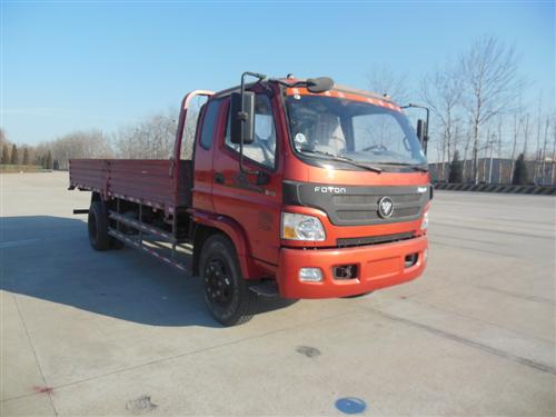BJ1109VEPEG-F1载货汽车燃油公告图片2