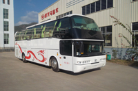 FJ6105HA1客车燃油公告图片2