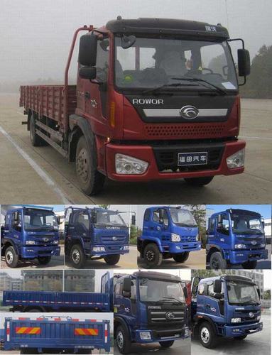 BJ1165VKPFG-2载货汽车燃油公告图片2