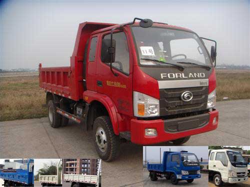 BJ3042D8PEA-G1自卸汽车燃油公告图片2