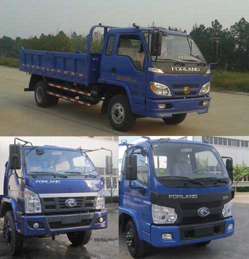 BJ3065DBPEA-1自卸汽车燃油公告图片2