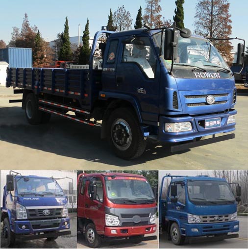 BJ1135VJPFD-1载货汽车燃油公告图片2
