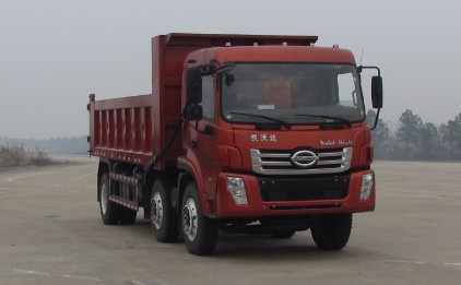 LFJ3250G4自卸汽车燃油公告图片2