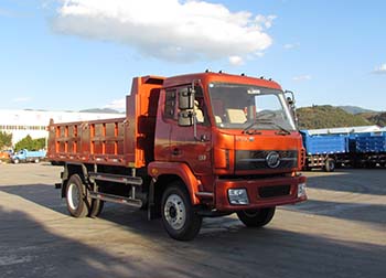 LFJ3055G5自卸汽车燃油公告图片2