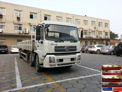 DFL1250BX5A载货汽车燃油公告图片2