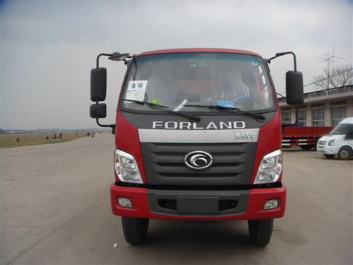 BJ3102DDPFA-G1自卸汽车燃油公告图片1