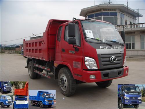 BJ3102DDPFA-G1自卸汽车燃油公告图片2