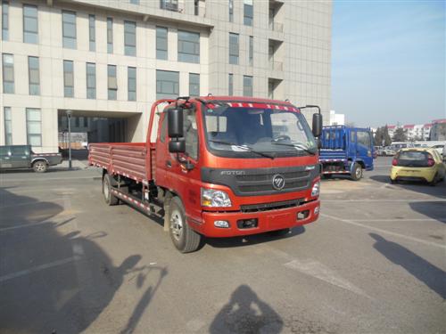 BJ1109VEPED-FA载货汽车燃油公告图片2