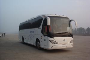 YBL6110HQJ1客车燃油公告图片2