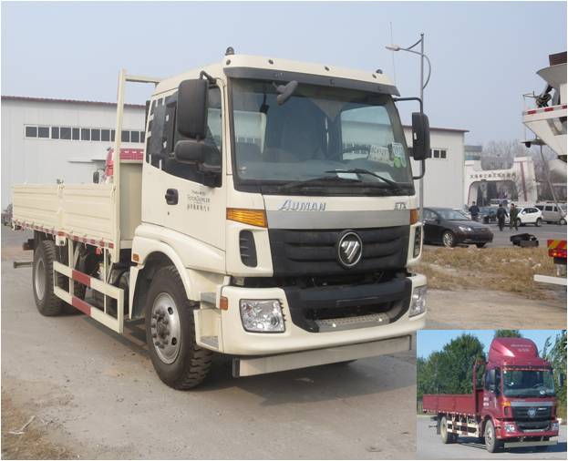 BJ1163VKPGG-XA载货汽车燃油公告图片2