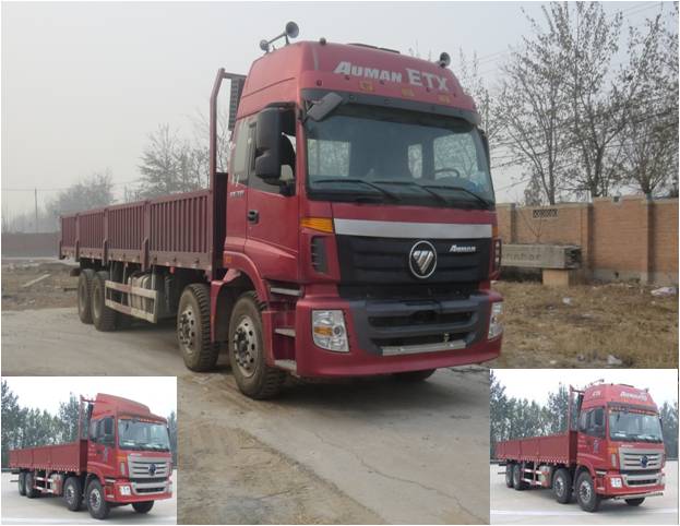 BJ1313VNPJJ-XA载货汽车燃油公告图片2
