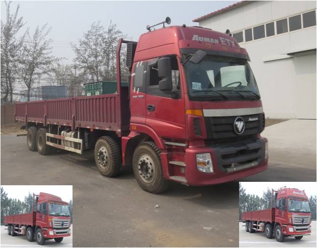 BJ1313VNPJJ-XA载货汽车燃油公告图片2