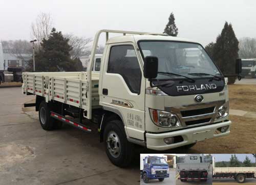 BJ2045Y7JEA-1越野载货汽车燃油公告图片2