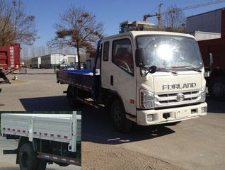 BJ1073VEPEA-B2载货汽车燃油公告图片2
