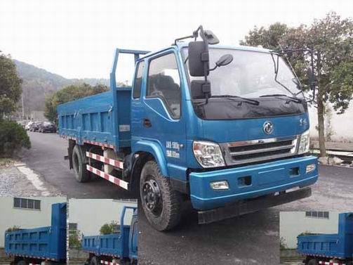 ZQZ3161Q4自卸汽车燃油公告图片2
