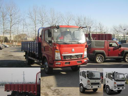 ZZ1127G3815D1载货汽车燃油公告图片2