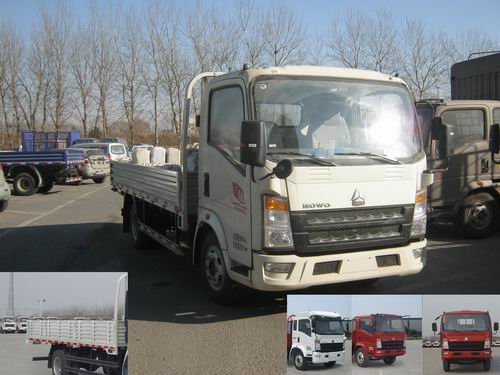 ZZ1107G381CD1载货汽车燃油公告图片2