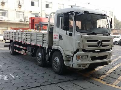 CGC1254D4SBD载货汽车燃油公告图片2
